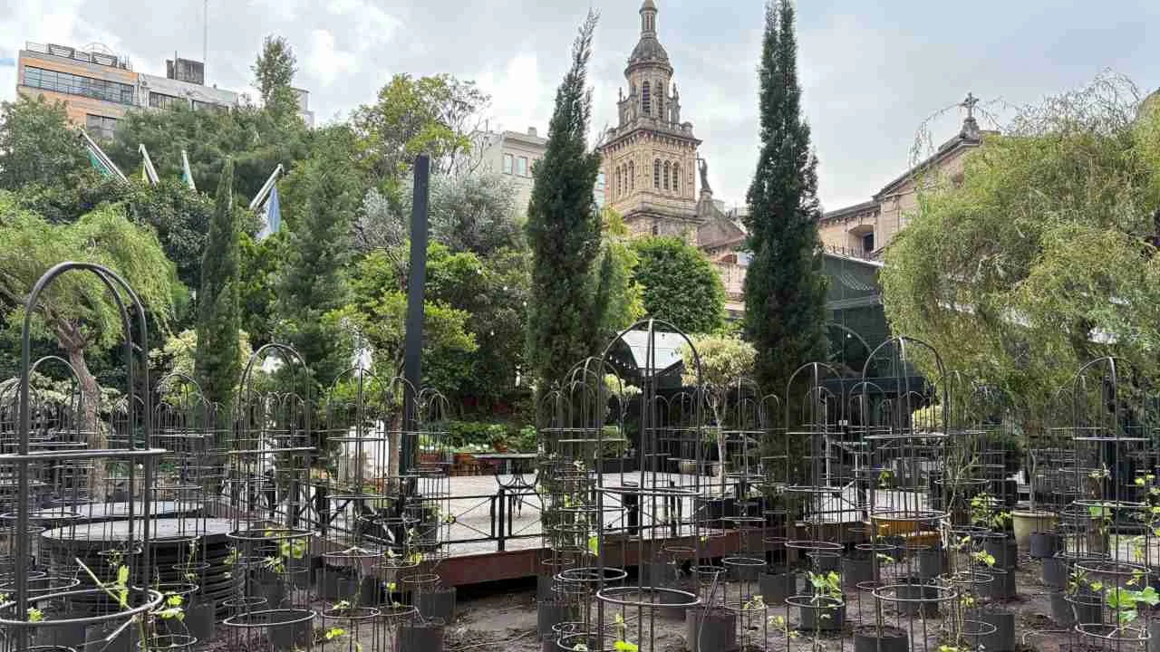 El primer viñedo urbano de Latinoamérica, en Buenos Aires